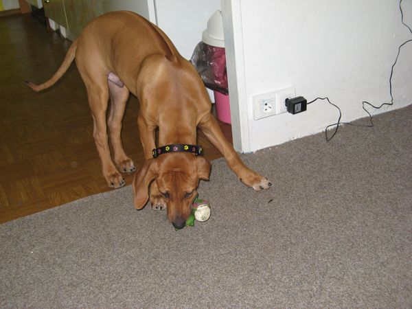 IMG_4221.JPG